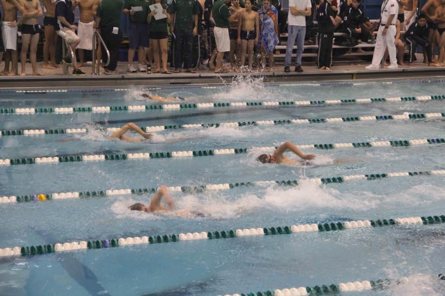 Boys swimming launches toward another title