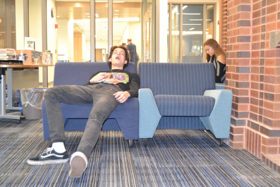The library is a common area for students to nap |  Illustration by Pearlman
