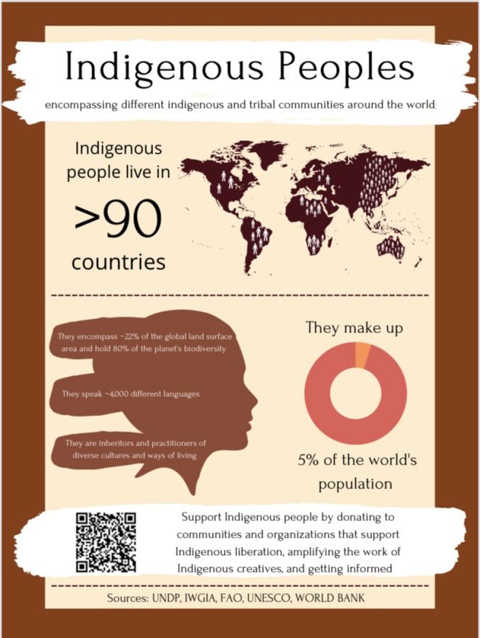 Indigenous community infographic
