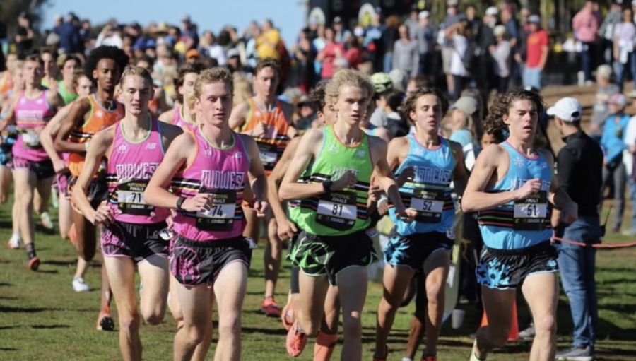 Falk racing at the Eastbay Cross Country Championship on December 11 in San Diego