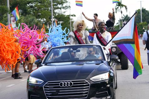 The annual Stonewall pride parade celebrates the historic Stonewall riots and the start of the LGBTQ human rights movement.