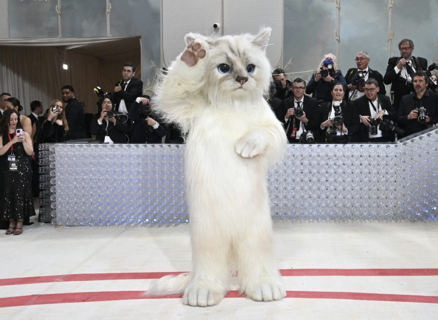 Jared Leto, dressed as Karl Lagerfeld’s pet “Choupette at the 2023 Met Gala, embracing the late designer’s legacy