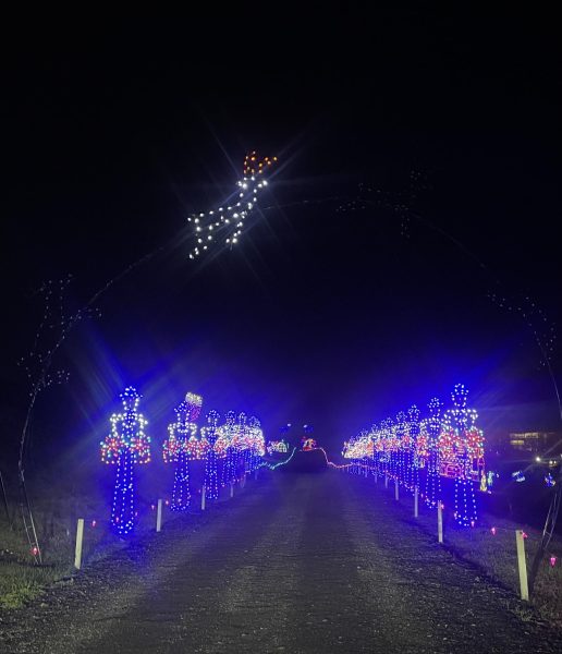 Near the start of the drive, a reindeer appears to float across the sky.