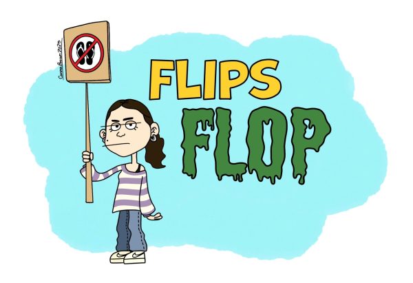A desperate call for the end of wearing flip flops at NT