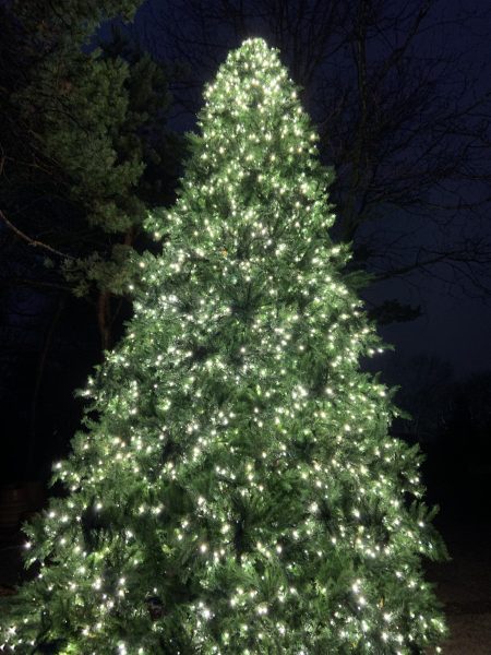 The holiday season is a time of joy and comfort, and a warm Christmas tree embodies that perfectly