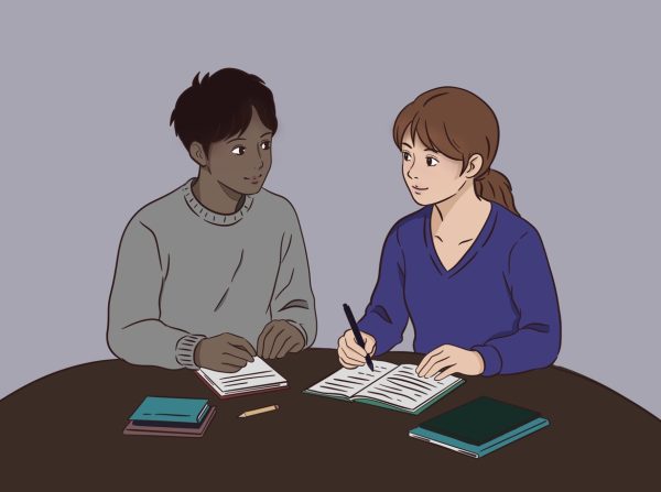 NT aims to understand school climate via CSCI surveys